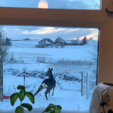 Vinkelgaard Lägenhet Ringsted Exteriör bild