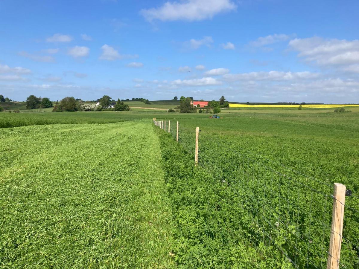 Vinkelgaard Lägenhet Ringsted Exteriör bild