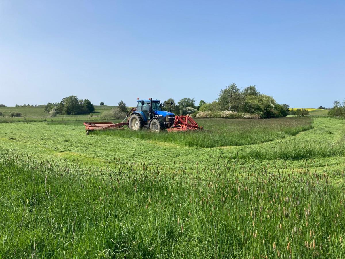 Vinkelgaard Lägenhet Ringsted Exteriör bild